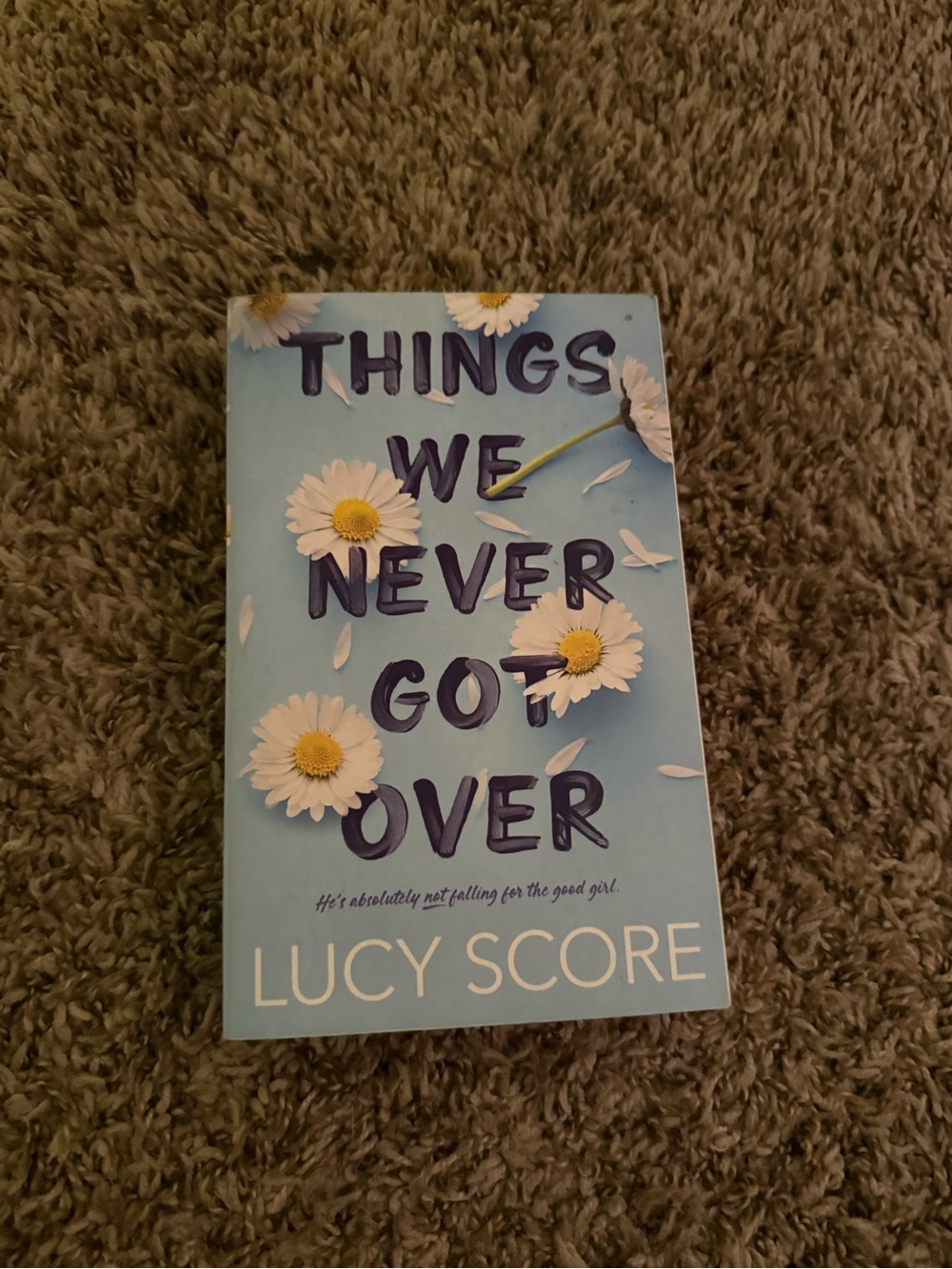 things we never got over by lucy score